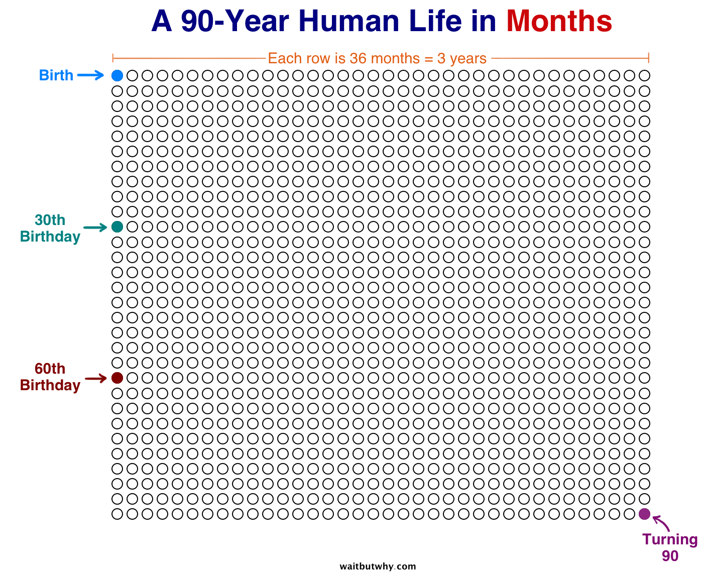 Human Life in Months